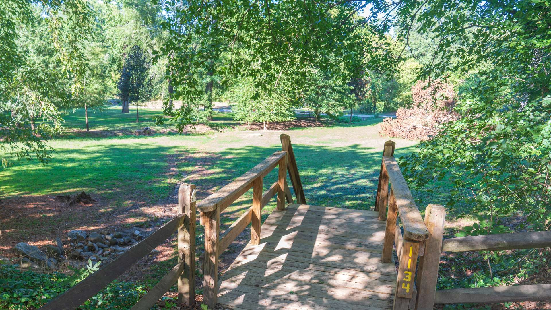 Wooden steps leading to large grassy area surrounded by trees.