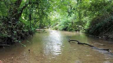 A view of rocky branch creek