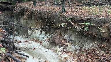 Camp Pond Dam