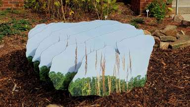 An installation by Scott Hazard called Hidden Rock #1, outside of Annie Louise Wilkerson, MD Nature Preserve Park