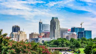 Downtown Skyline Raleigh and rosebush
