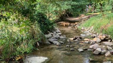 An in-stream view of Cemetery Branch in Raleigh