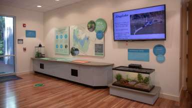 Indoor exhibit with information boards, screen, and turtle home