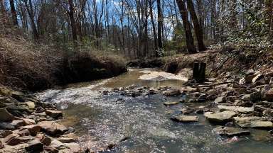 Water flowing in Hare Snipe Creek in Raleigh