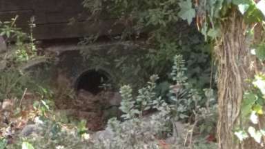 Old stormwater pipe at a structure on Alamance Drive