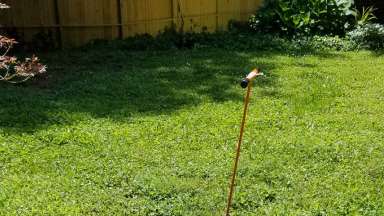 A yard on Beaver Dam Road where an underground stormwater pipe is being replaced.