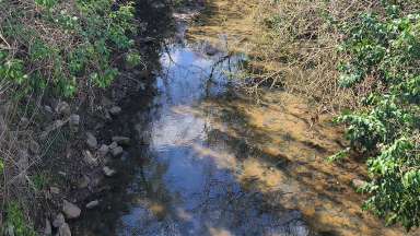 Pigeon House Creek