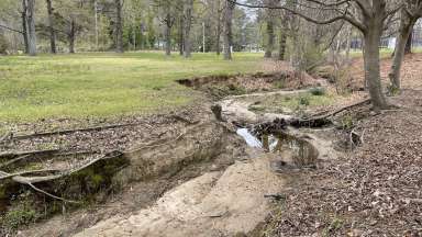 Worthdale Park Stream
