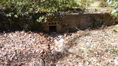 Stormwater flowing into storm inlet