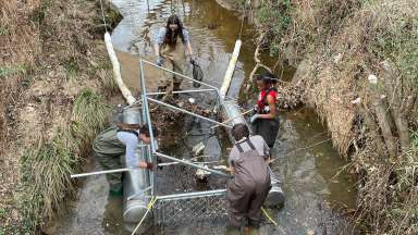 Standing in the creek in waders, NEC students clean out the Trash Trap. 