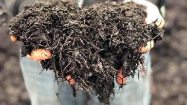 Hands holding mound of leaf mulch