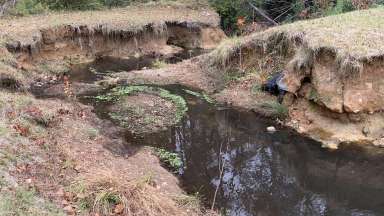 Lower Longview Streambank