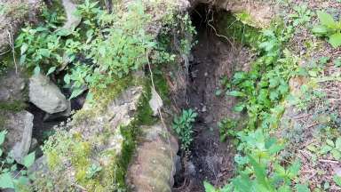 Mourning Dove Road Drainage Issues