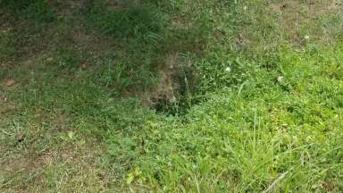 Guard Hill Drive Sink Hole