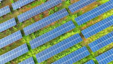 solar farm