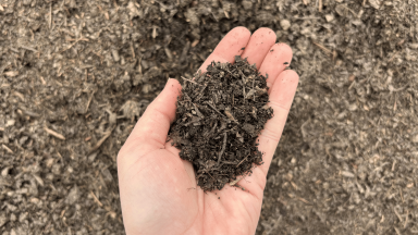 A hand holds much compost