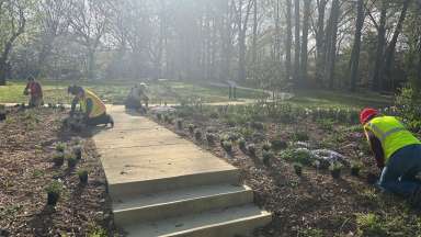 a group of volunteers planting flowers wearing safety vest