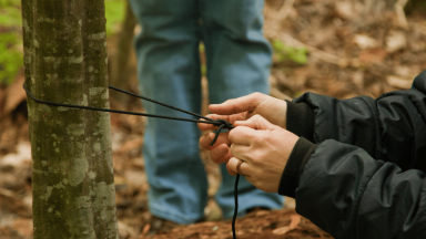 Person tying a knot around a tree