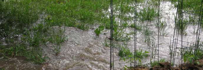 Yard flooding on East Jameson Road in Raleigh