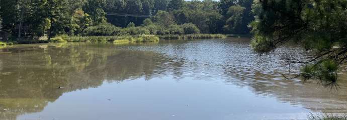 Camp Pond Dam