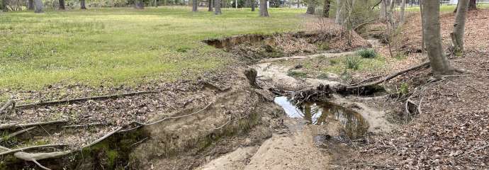 Worthdale Park Stream