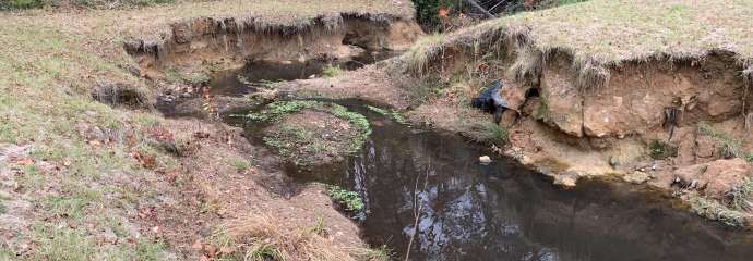 Lower Longview Streambank