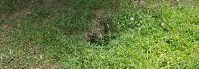 Guard Hill Drive Sink Hole