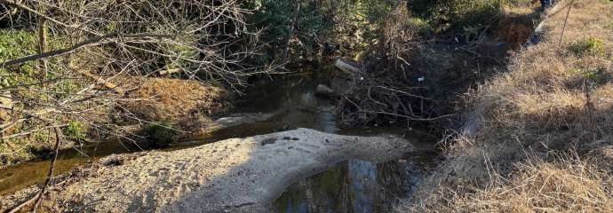 Carnage MS Stream Erosion