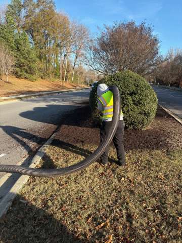 Mulch worker spraying mulch