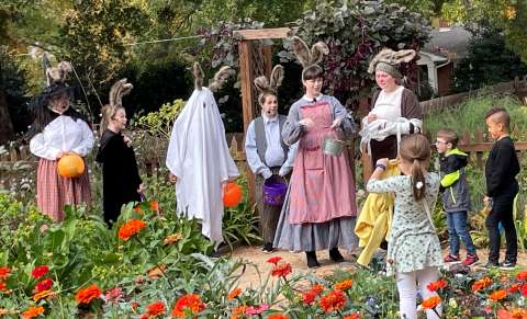 A group of actors and young people in a garden wearing peter rabbit costumes.