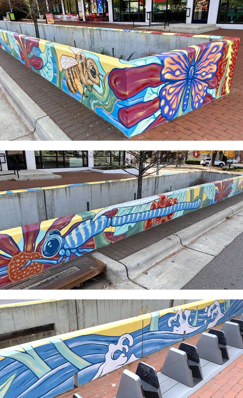 a collage of bugs, flowers, and water painted on retaining walls of a rain garden