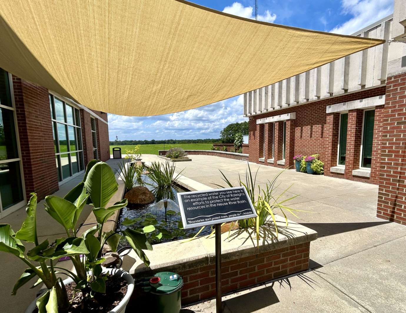 Full view of outdoor space, including a pond with green plants and outdoor plants