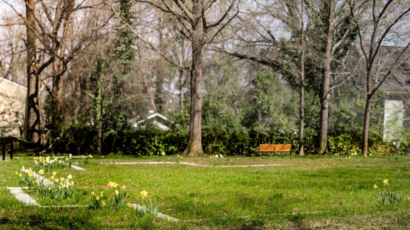 a park