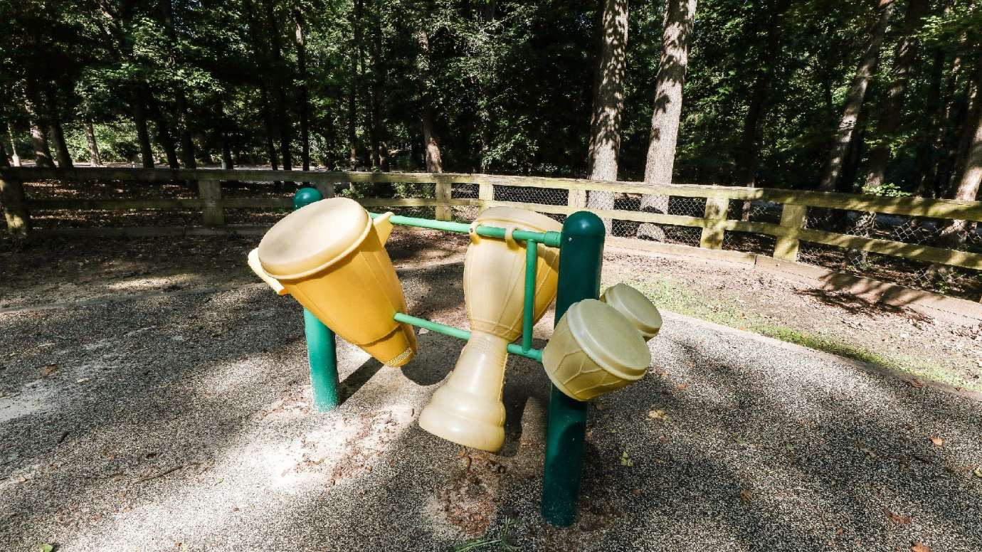 bongos for kids