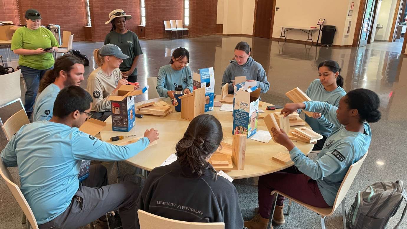 people building bird homes