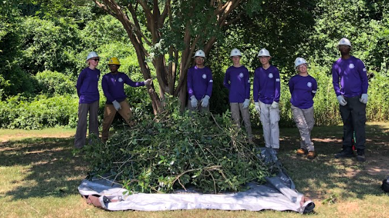 teens doing tree maintenance