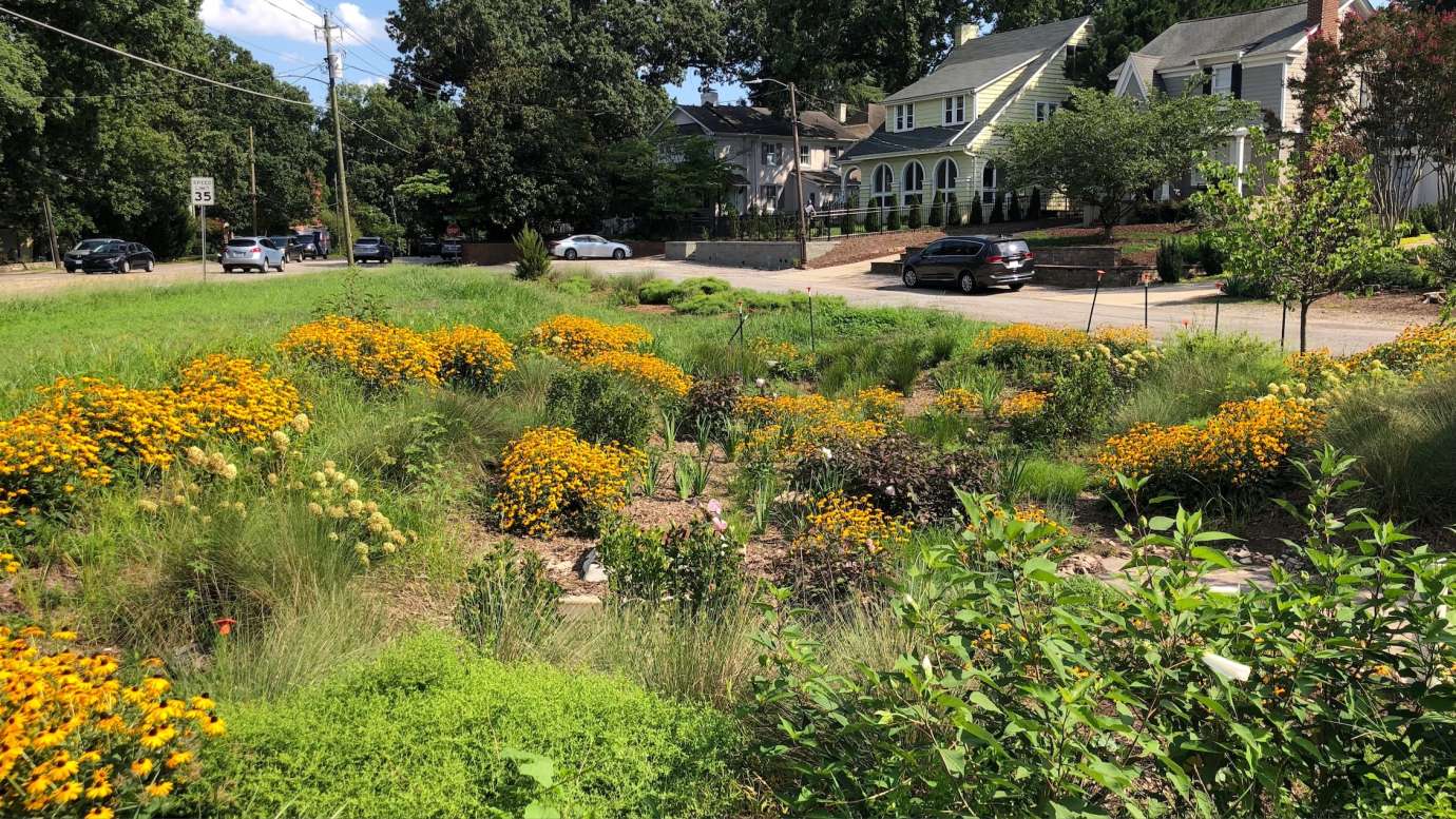 Glenwood Bioretention