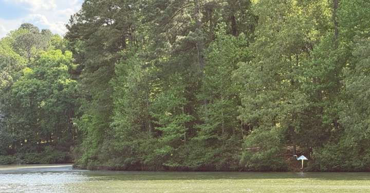 View of a folded metal Heron on the other side of a wooded lake. 