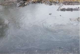 Polycyclic Aromatic Hydrocarbons Stormwater Pollution