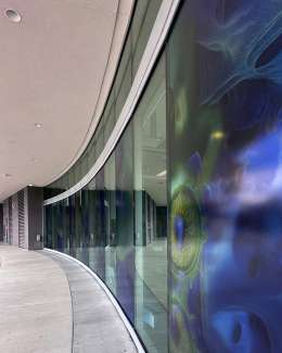 blue and green artwork on the windows of the Chavis community center